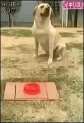 tumblr_mx0bic6xfO1qdlh1io1_400.gif