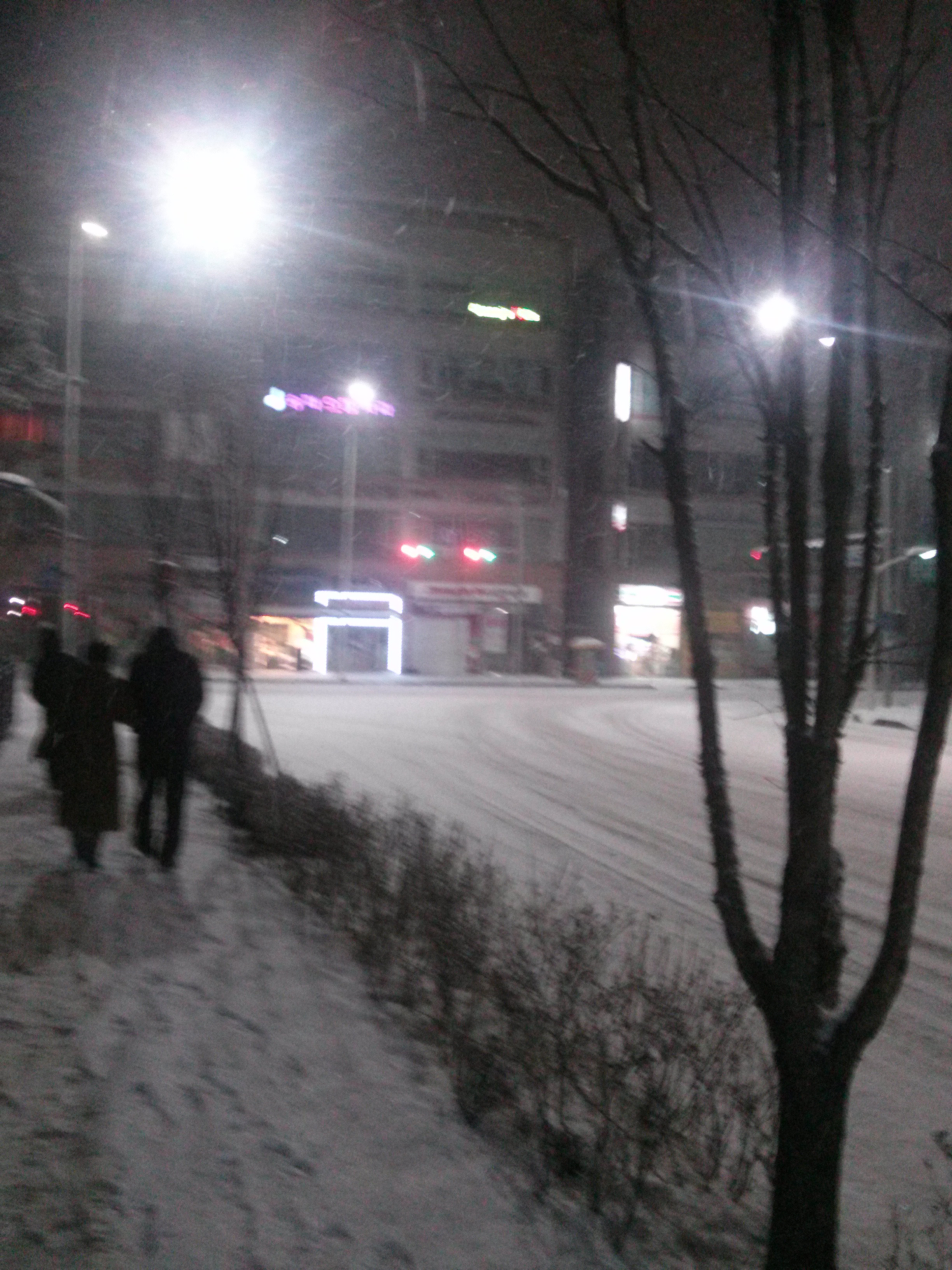 CAM00056.jpg