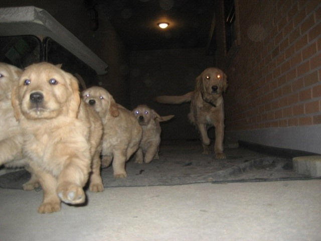 hu_1335675710_323435135.jpg