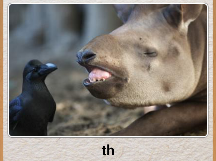 1461404_594959623912630_678003727_n.png