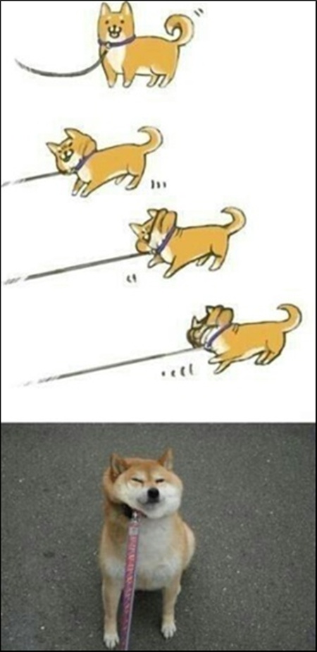 56905866.2.jpg