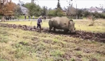 cda6b6f7dc0f85c04bd702106cf818a1.gif