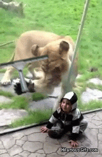 hu_1381717530_249671609.gif