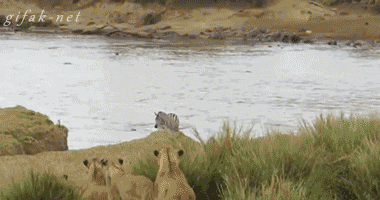 572586482fd0000ab7d918c11b9e459d.gif