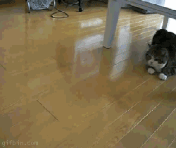 201206095fc356bb-137ce41d5ea--7946-v2.gif