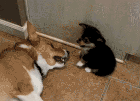 20120608394ea80d-137c908eeba--7caf-v2.gif