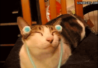 20120608164b06de-137c9126562--7c5a-v2.gif