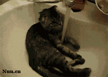 2012053127392a89-1379fe834b6--7ab0-v2.gif