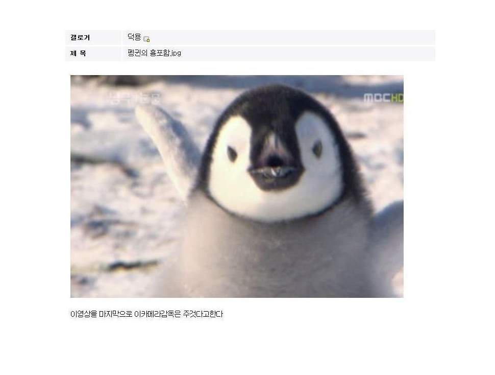 1339323099230.jpg