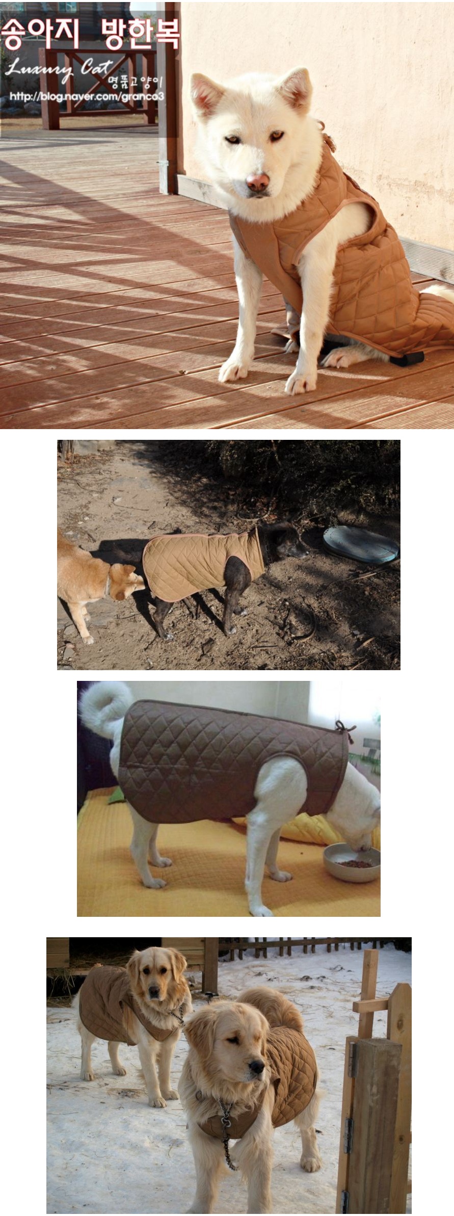 개깔깔.jpg