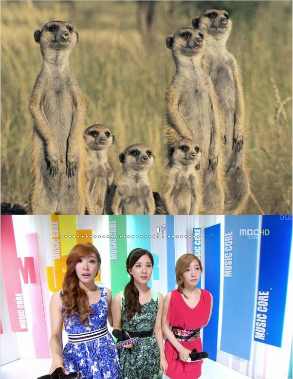 ㅋㅋㅋ~1.jpg