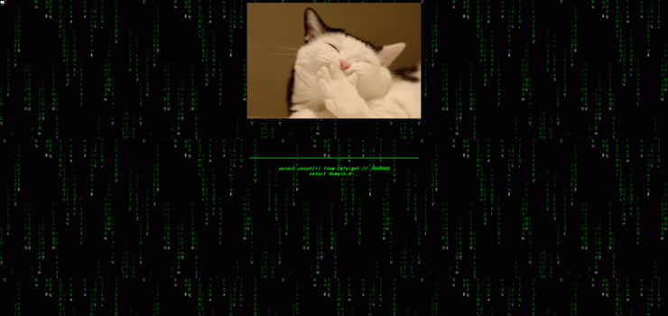 중앙일보.png