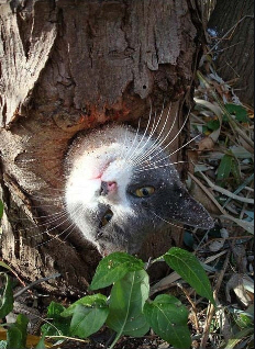 포맷변환_날좀4.jpg