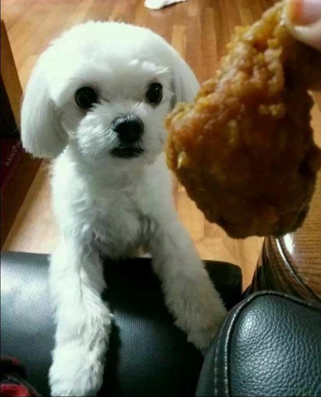치킨_앤_하이드_2.jpg