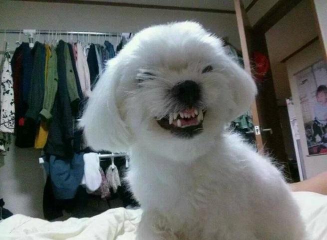 치킨_앤_하이드_1.jpg