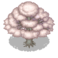 sakura.png