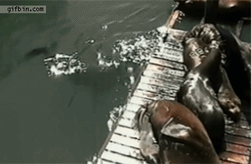 민폐.gif
