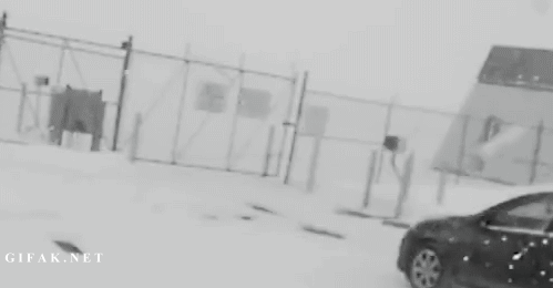 흔한_러시아의_노상방뇨.gif