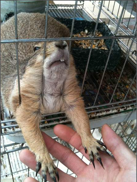포맷변환_날좀.jpg