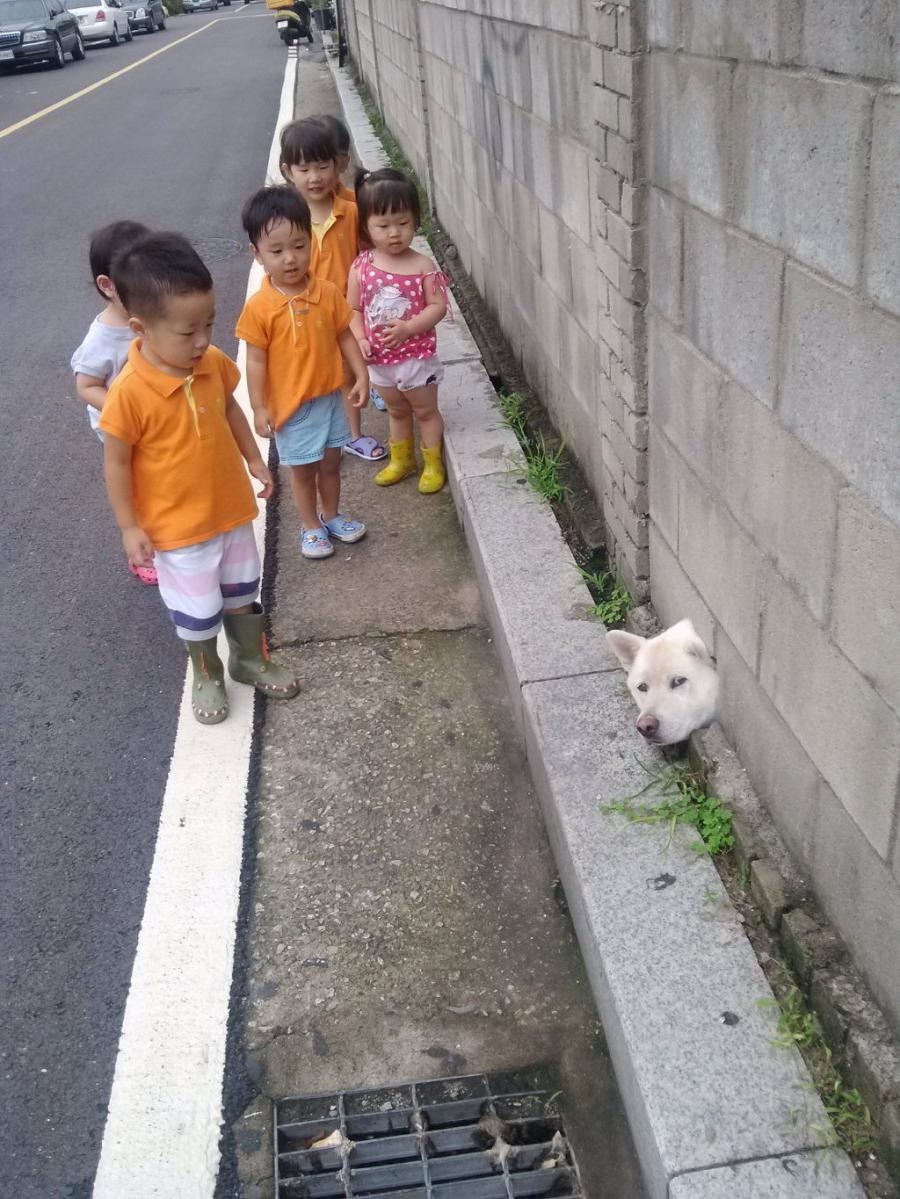 개망.jpg