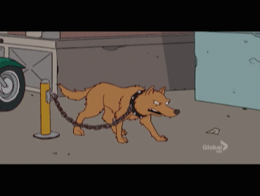 JF9Heef.gif