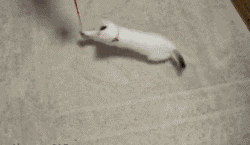 %EC%8C%8D%EB%B0%A9%EA%B3%BC%EC%8B%A4.gif