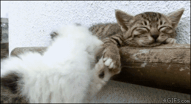 %EB%82%A0_%EA%B9%A8%EC%9A%B0%EC%A7%80%EB%A7%88.gif