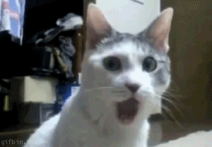 ca0nbr2c.gif