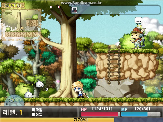 Maplestory XP (7).png