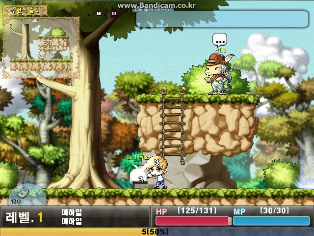 Maplestory XP (4).png