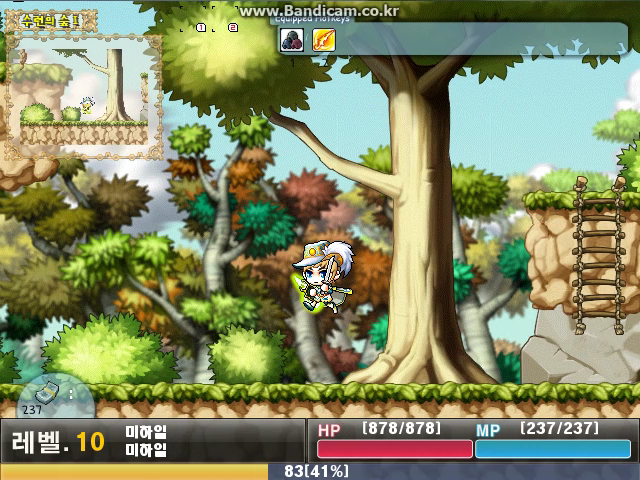 Maplestory XP (17).png
