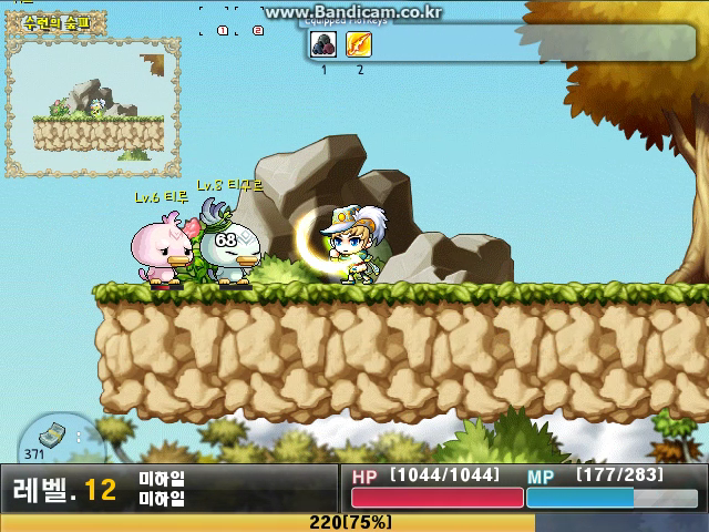 Maplestory XP (18).png