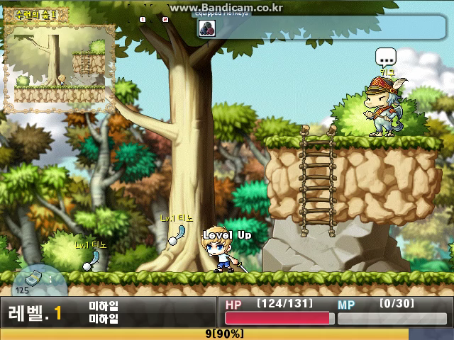 Maplestory XP (9).png