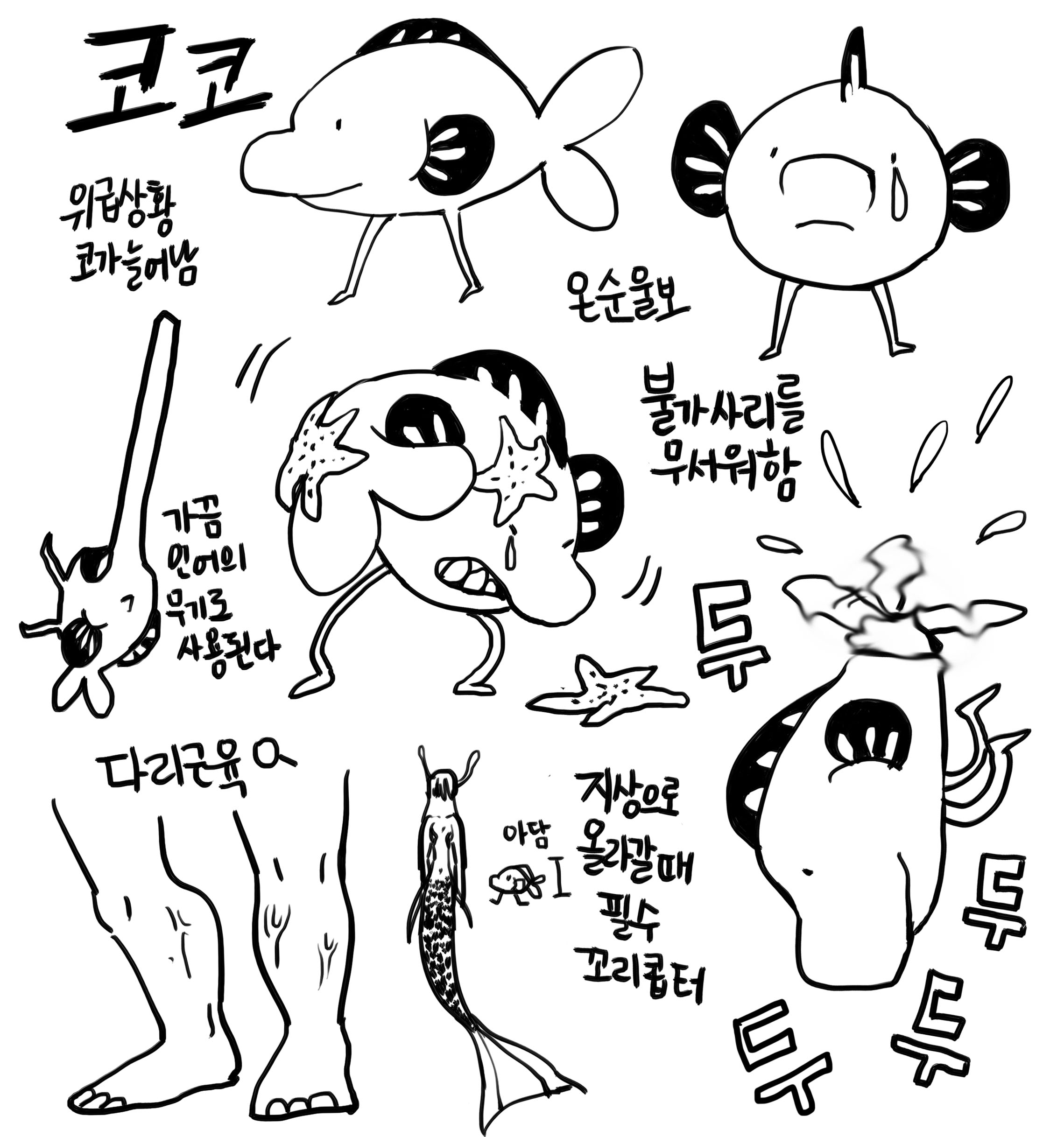 코코.jpg