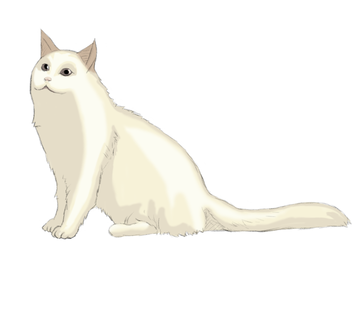 vcat.png