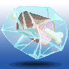 수정고기.gif
