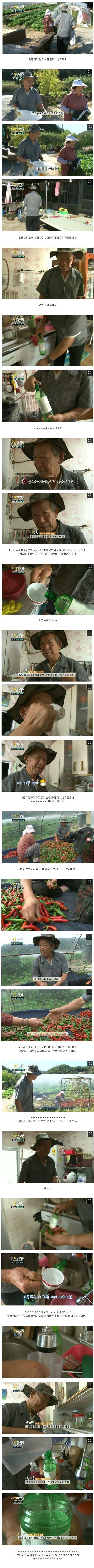 한_편의_시트콤_같은_생생정보통_1.jpg