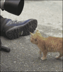 1449045735cu4rX9JKueEdrYSFed8RY3vClbHxZ5.gif